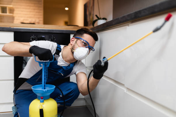 Reliable Bremen, IN Pest Control Solutions