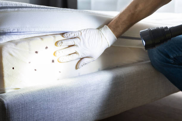 Best Termite Control Services  in Bremen, IN