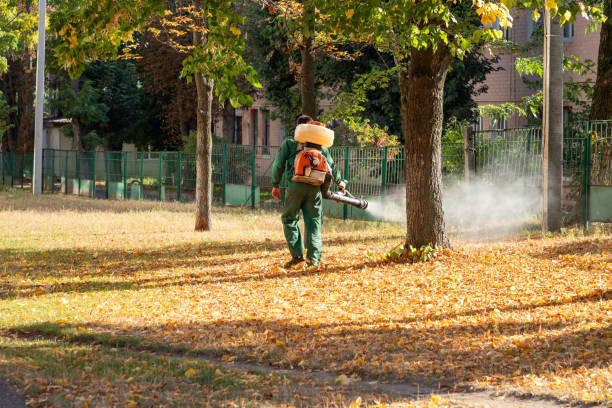 Best Wildlife Control Services  in Bremen, IN