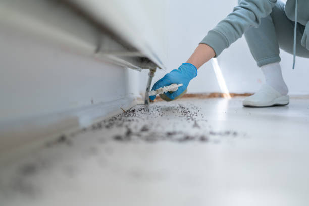 Professional Pest Control in Bremen, IN